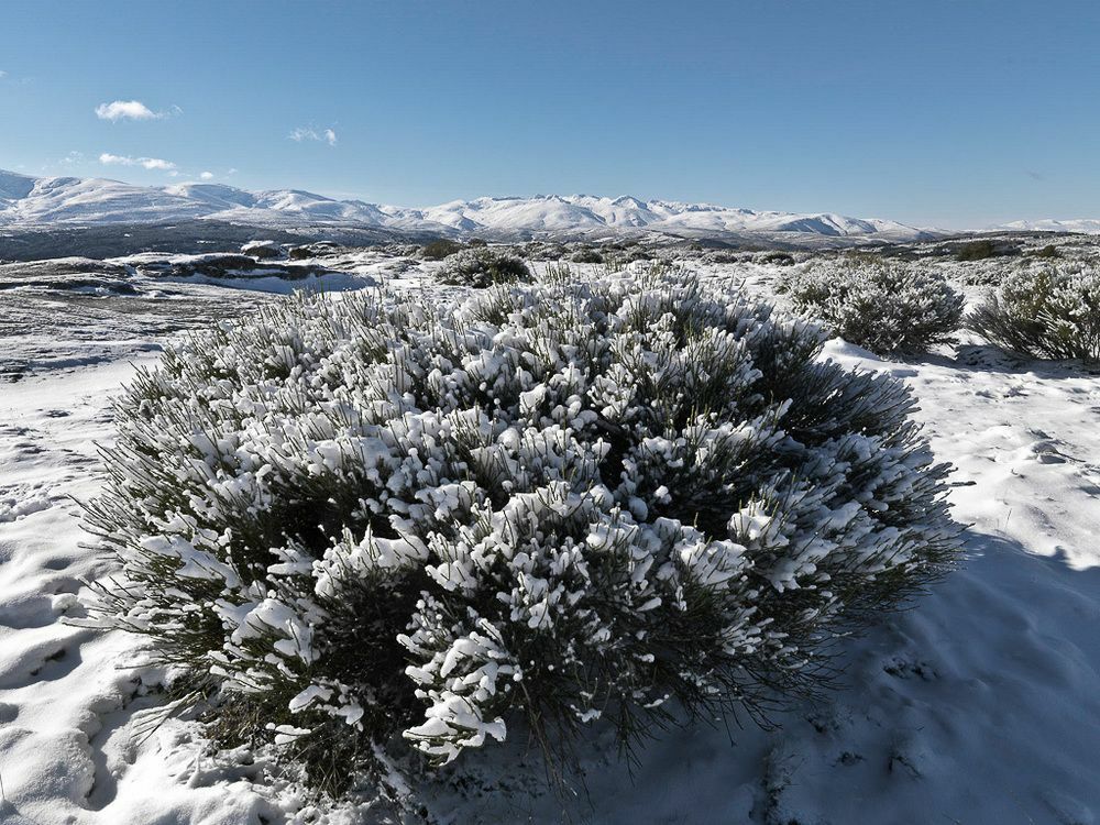 El Cerro - El Cerro I Villa Navarredonda de Gredos Kültér fotó